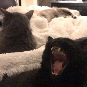 Meet your Posher, Mariah